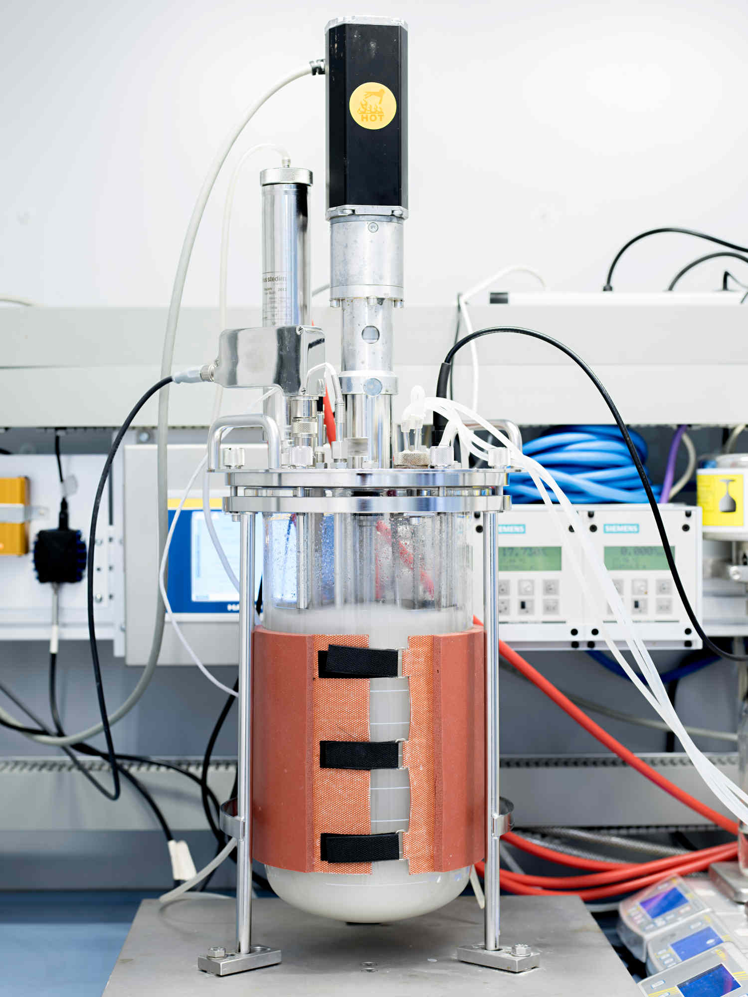 Im Bioreaktor werden Musterorganismen wie Hefen und Laktobazillen fermentiert. | Bild: Siemens